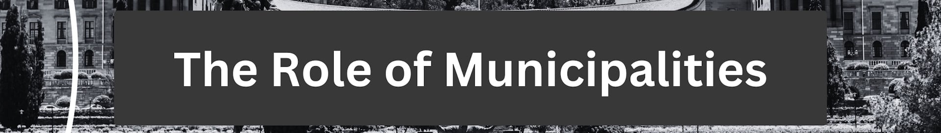 DMS NPC Blog Content Banner 1 (12-02-2024)