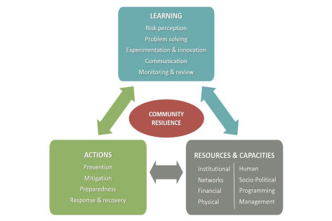 Image of DMS NPC Integrated Institutional Arrangements for Disaster Risk Management